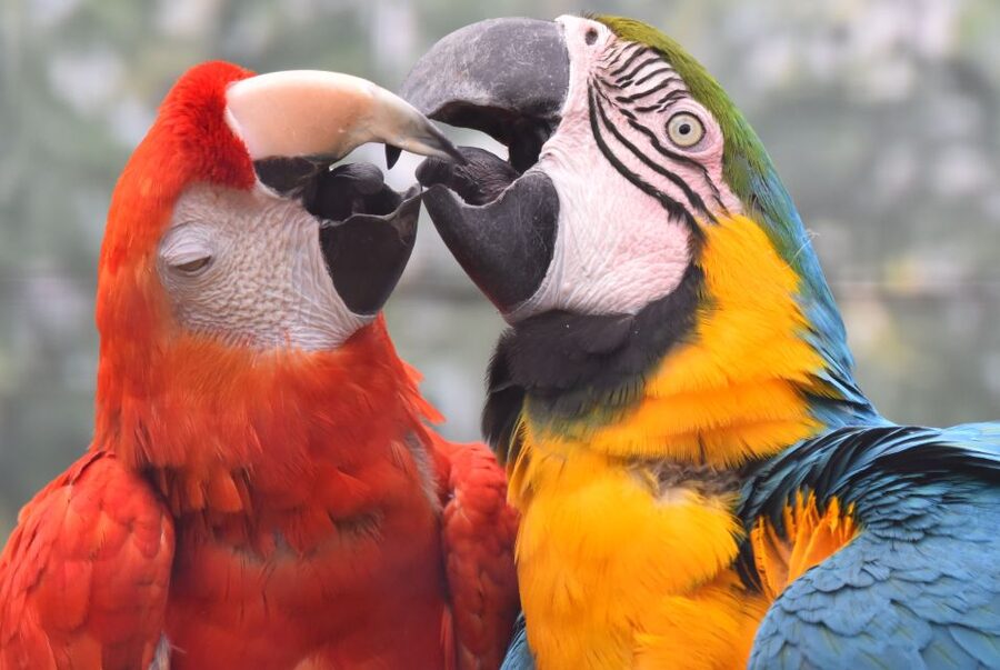 Cologne: Cologne Zoo and Aquarium Entry Ticket - Price and value: why $27 can work for families