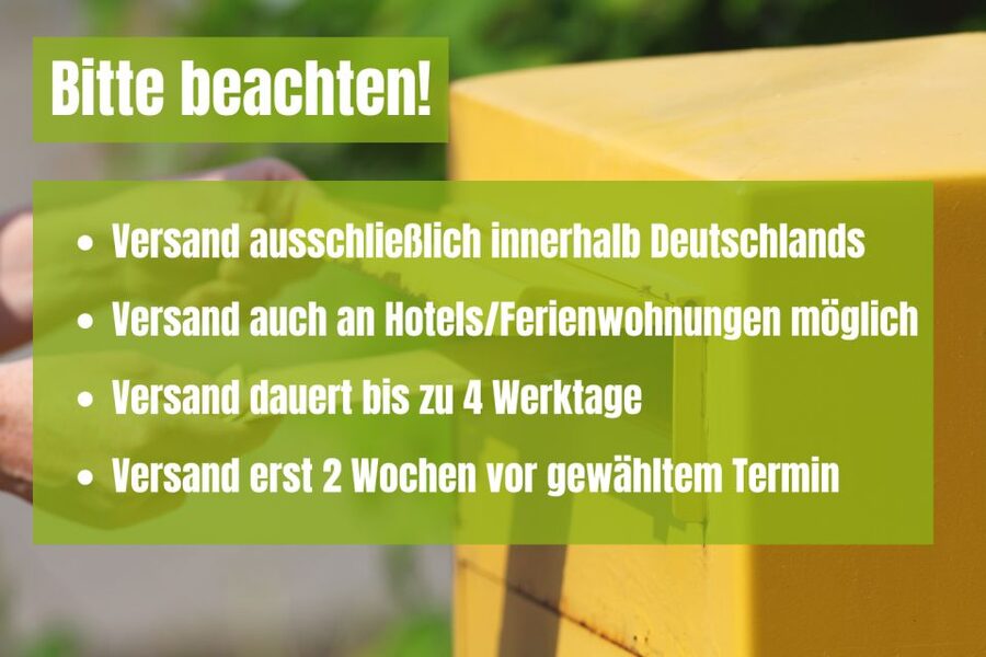 Cologne: Scavenger Hunt Self-Guided Tour - Price and group value for up to 10 people
