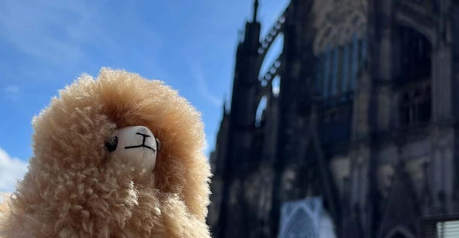 Day tour Aachen & Cologne from Brussels - Key points to know before you go