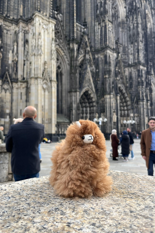 Day tour Aachen & Cologne from Brussels - Guide quality: when personalization goes beyond the script