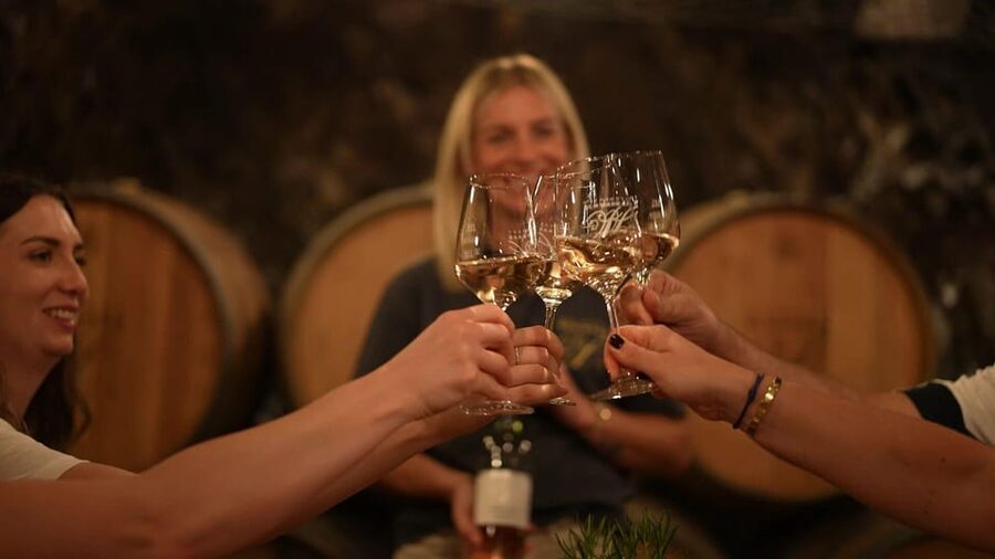 Discovery tour - cellar tour with wine tasting - Key Things You’ll Notice