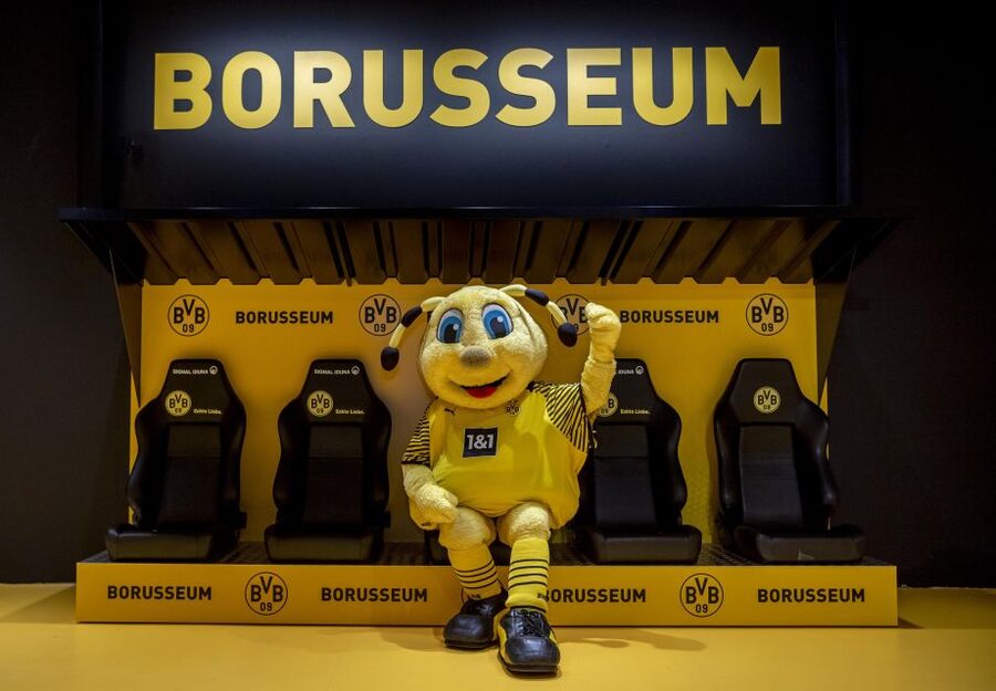 Dortmund: Borusseum Borussia Dortmund Museum Entry Ticket - Entering BORUSSEUM: where the museum story starts