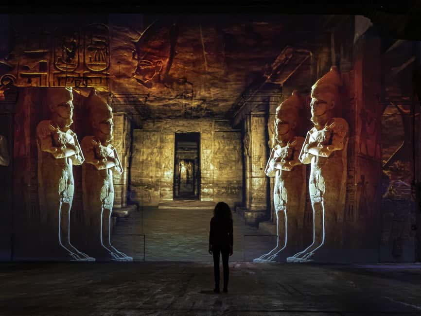 Dortmund: Phoenix des Lumières Entry Ticket - Key highlights to know before you go