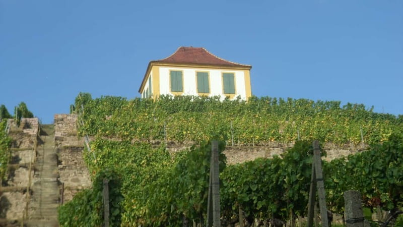 Dresden: Boat Cruise with Wine Tasting and Snacks - Reading the river views: Meißen and Albrechtsburg from far away