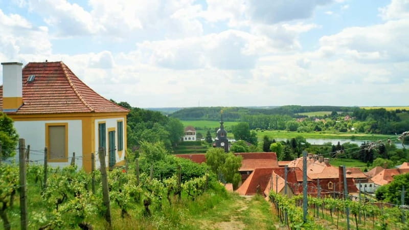 Dresden: Boat Cruise with Wine Tasting and Snacks - Seußlitz, wine villages, and castle country without the stress