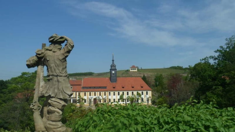 Dresden: Boat Cruise with Wine Tasting and Snacks - The guided vineyard hike: learning the small wine region the right way