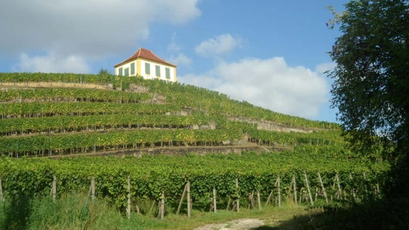 Dresden: Boat Cruise with Wine Tasting and Snacks - Language and fit: who this tour suits best