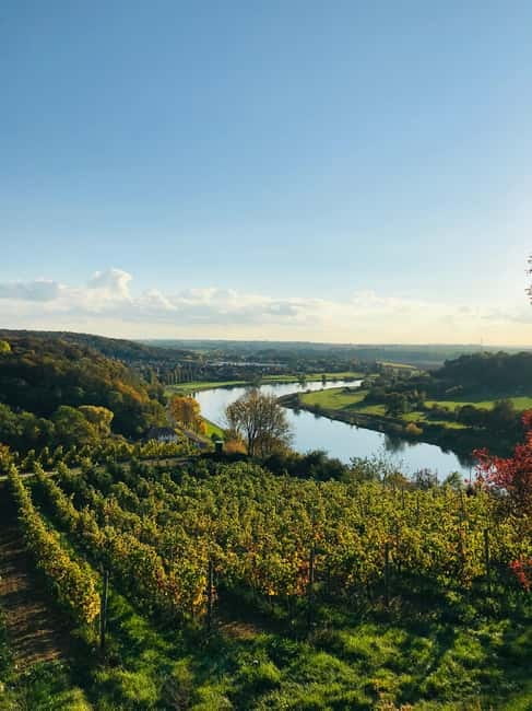 Dresden: Boat Cruise with Wine Tasting and Snacks - What to bring, and how to avoid day-of annoyances