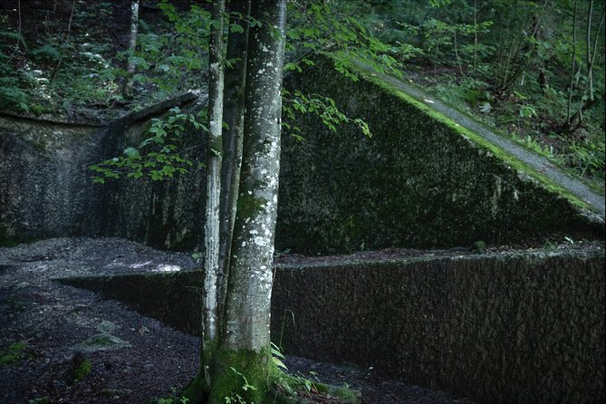 Eagle's Nest-Berchtesgaden-Obersalzberg Private Half Day WWII Historical Tour - Price and value: what $591.34 buys you, and what it does not