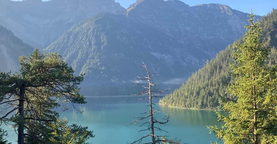 Ehrwald: Hiking Tour into breath taking Nature - What you will see on the hike: lakes, rivers, alpine flowers, and wildlife