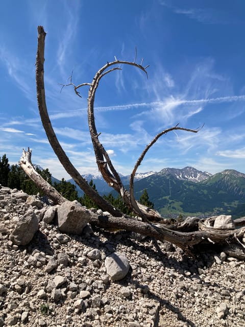 Ehrwald: Hiking Tour into breath taking Nature - Price and value for an $81 guided small-group hike