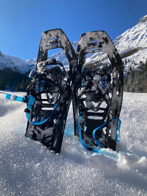 Ehrwald: Zugspitze Snowshoe Hiking Tour with Mountain Views - Key things to know before you go