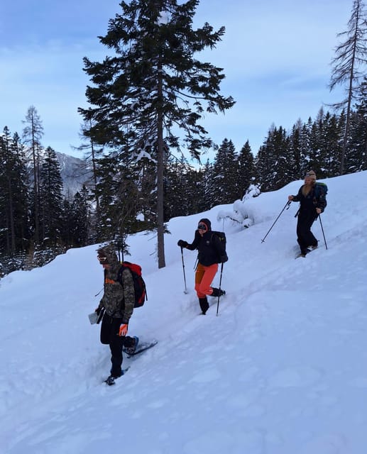 Ehrwald: Zugspitze Snowshoe Hiking Tour with Mountain Views - Price and value: is $80 for 2 hours a fair deal?