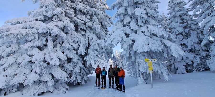 Ehrwald: Zugspitze Snowshoe Hiking Tour with Mountain Views - Entering the winter at Ebne 5, the easy start you want