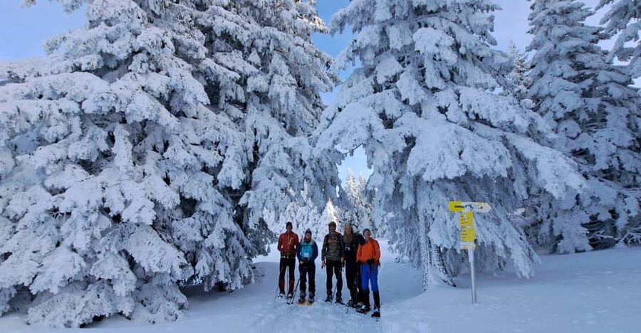 Ehrwald: Zugspitze Snowshoe Hiking Tour with Mountain Views - Snowshoe rental is included, and you still need to pack smart