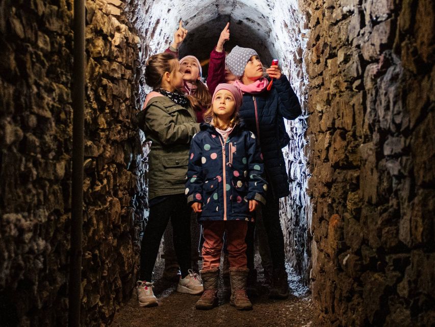 Erfurt: Guided Tour of The Petersberg Citadel - The one-hour structure: how to pace yourself