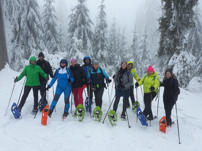 Fichtelgebirge: snowshoe hike - Quick hits before you go