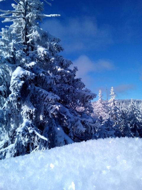 Fichtelgebirge: snowshoe hike - First tracks in the Fichtelgebirge: what makes this snowshoe hike special