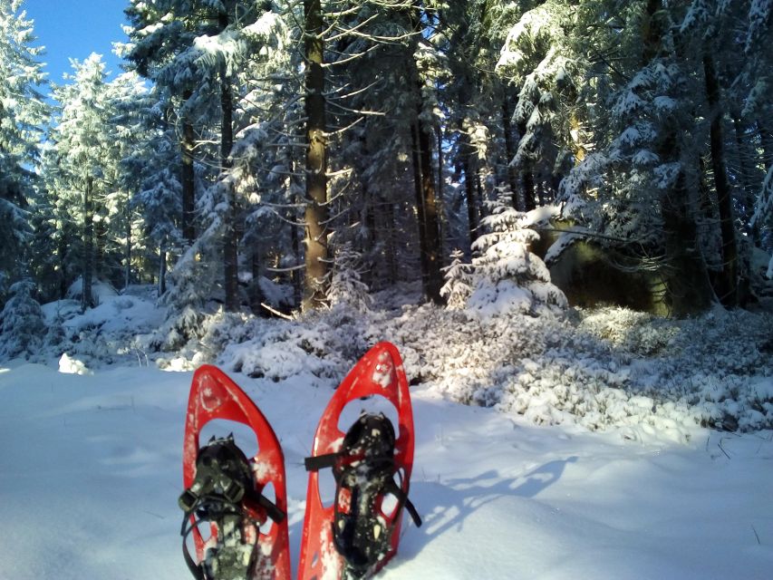 Fichtelgebirge: snowshoe hike - The 3 hours from Cafe Del Sol Bayreuth: what the timing really means
