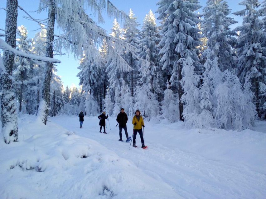 Fichtelgebirge: snowshoe hike - Meet Klaus Hübsch: how the guide changes the walk