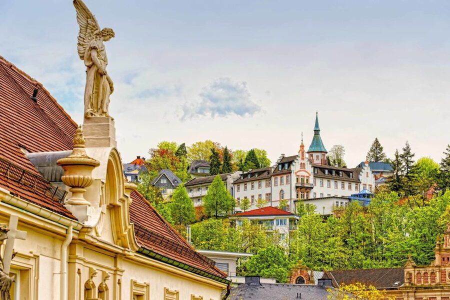 Frankfurt: Baden-Baden, Black Forest, Strasbourg Guided Tour - Transportation and group feel: what the 11 hours really means