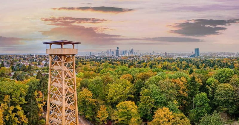 Frankfurt Card: Experience Frankfurt at the Best Price - Art and Landmark Day: Städel, Modern Art, Cathedral Museum, and More