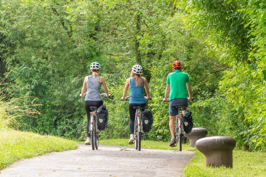 Frankfurt: Full-Day Bicycle or E-Bike Rental - Helmet and Phone Holder: Included Only If You Add Them