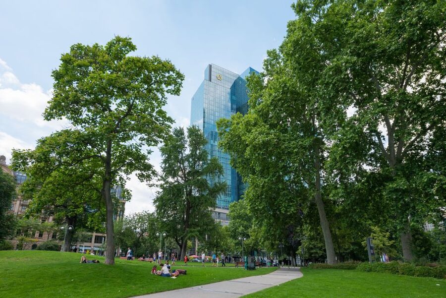 Frankfurt: Guided walk between palm trees and skyline - Stories that turn a walk into a character study
