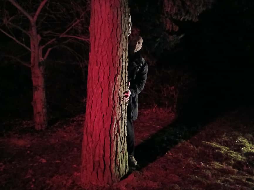 Frankfurt: Horror theater with city tour "Nosferatu's Resurrection" - Key highlights to look for