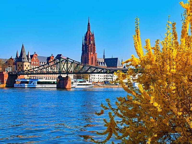 Frankfurt: Walking tour between St. Paul's Church, Main & Old Town flair in German - Starting at Paulskirche, and how to get oriented fast