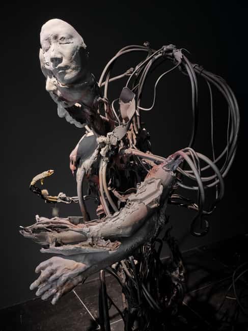 Frankfurter Kunstverein: Admission ticket - The Kunstverein’s core strength: art plus science plus society