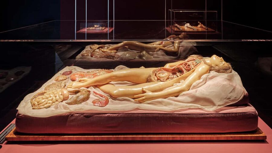 Frankfurter Kunstverein: Admission ticket - Price and value: why $11 can work well