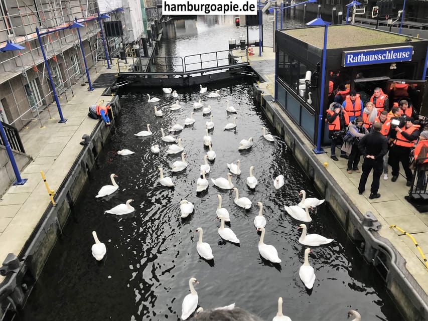 Free tour: Centro Histórico. Tú decides el precio al final - The Hamburg story the guide tells, Vikings, breweries, and almost-bombed warehouses