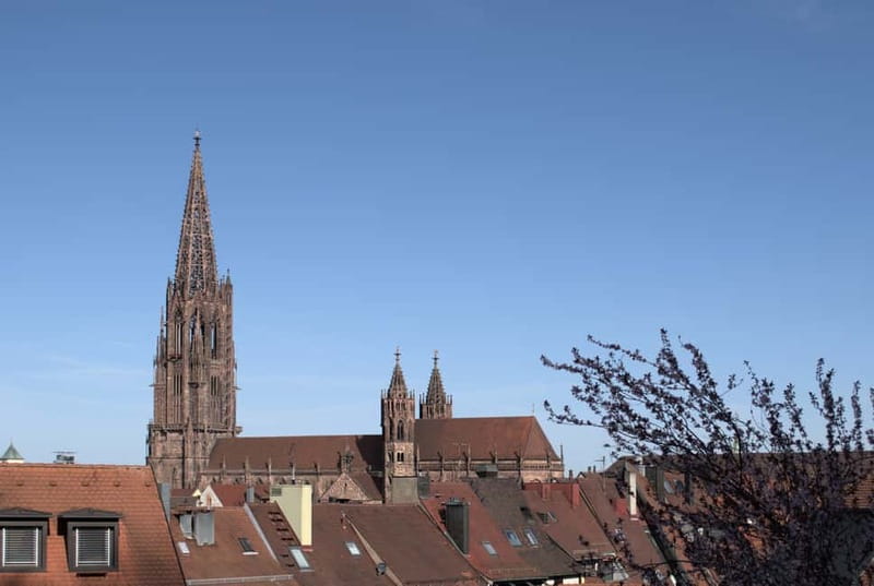 Freiburg City Tour: with visit of the Freiburg Minster - What the included cathedral audio system actually changes