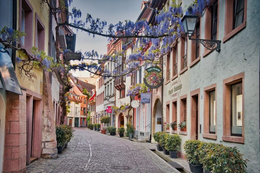 Freiburg: Gässle, Bächle and More City Tour - Key things you will notice on this Freiburg walk