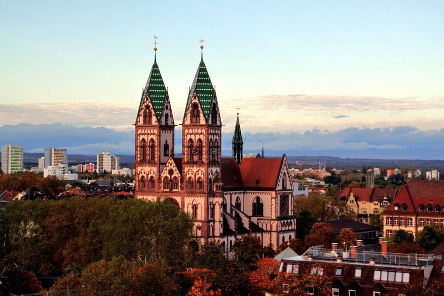 Freiburg: Private Guided Walking Tour - Freiburg Münster: Red Gothic Stone, Gargoyles, and a Filigree Steeple