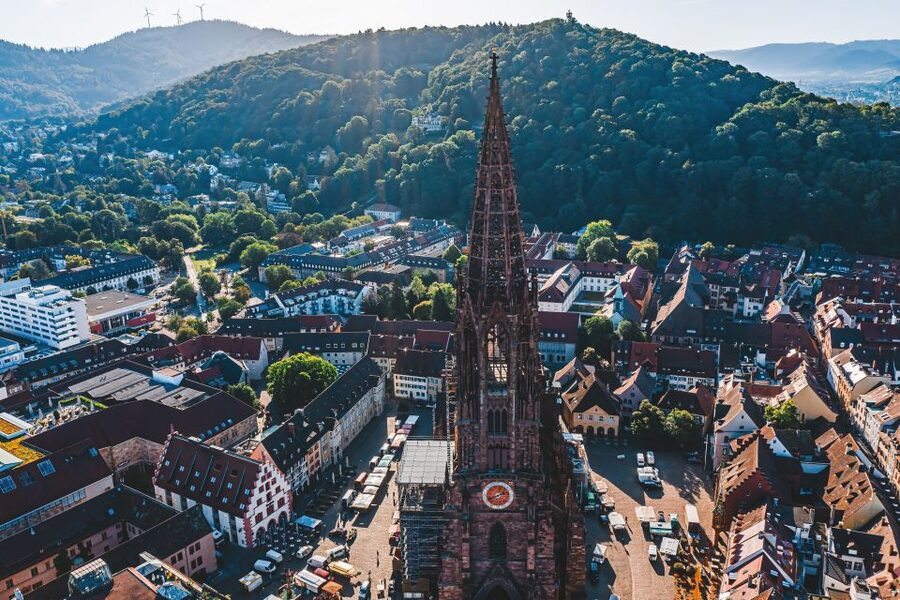 Freiburg: Veni, vidi, vino - wine hike and tasting - Freiburg Wine Hike on the Schlossberg: A Walk With a Purpose