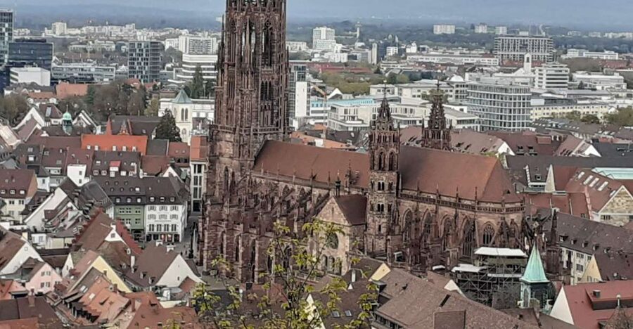 Freiburg: Walking and Strolling the Historic Center - Key things you will get from this Freiburg walking tour