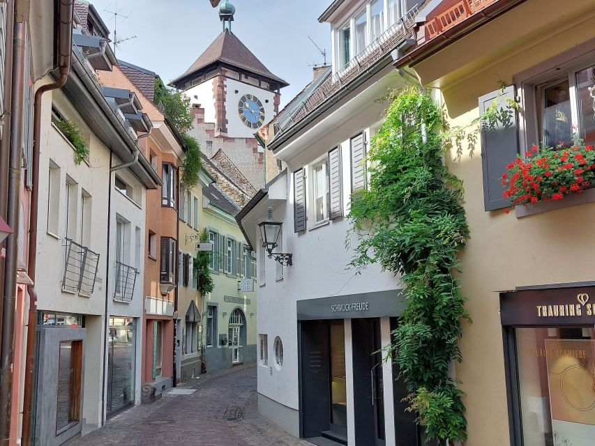 Freiburg: Walking and Strolling the Historic Center - The quirky Freiburg checklist: crocodile in Gerberau, Wahle House, mosaics