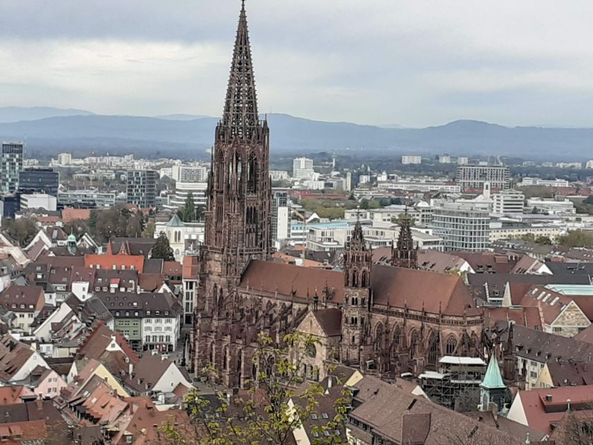 Freiburg: Walking and Strolling the Historic Center - The cathedral walk: tower beauty, gargoyles, and why details matter