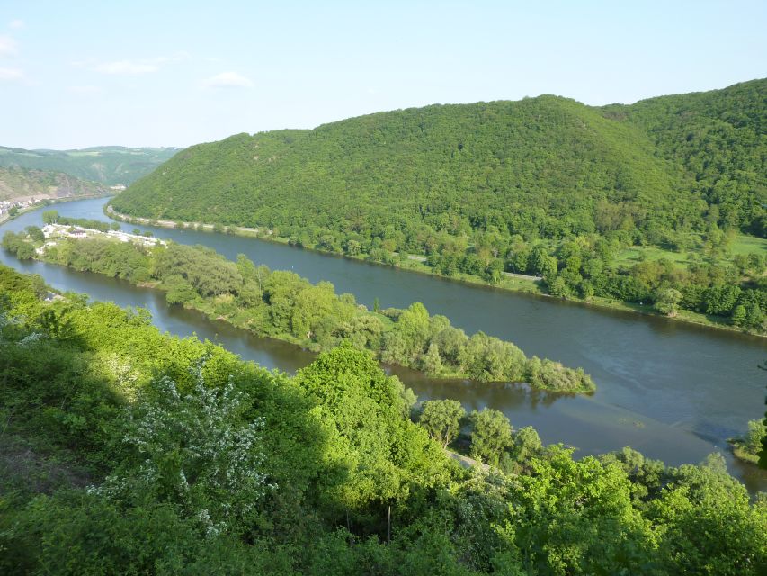 From Alken: Moselle Valley Sightseeing Cruise - The vineyards and Riesling angle, why it matters