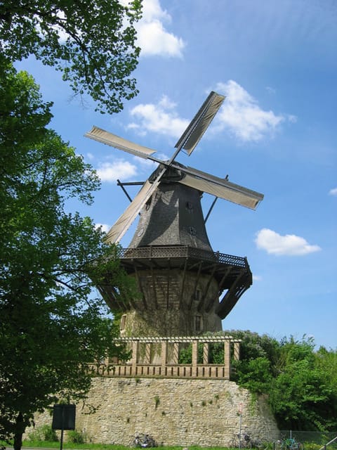 From Berlin: Gardens & Palaces of Potsdam Bike Tour - Your Ride Plan: About 17 km, 4.5 Hours on the Bike