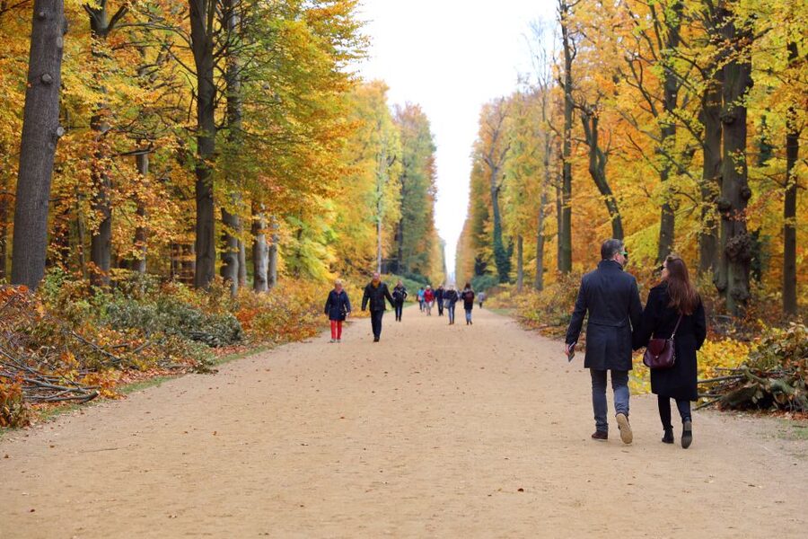 From Berlin: Historical Gems of Potsdam Private Day Trip - Who should book this Potsdam private day trip