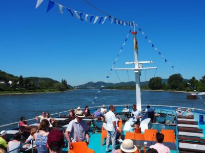 Rhine River to Linz Sightseeing Boat Tour