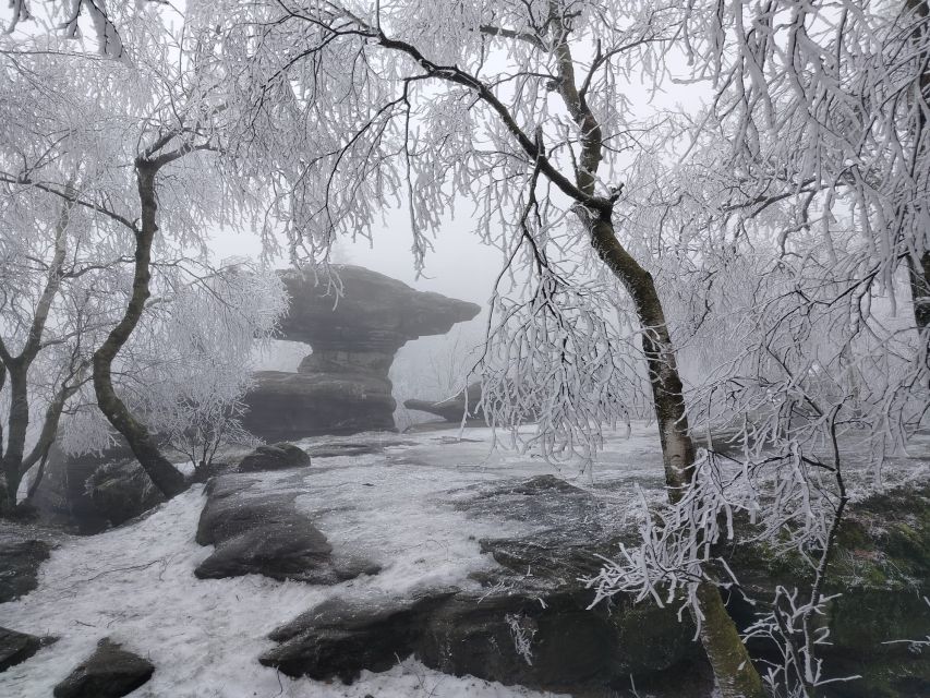 From Dresden: Bohemian & Saxon Switzerland Day Trip - Price and value: why $168 can feel fair