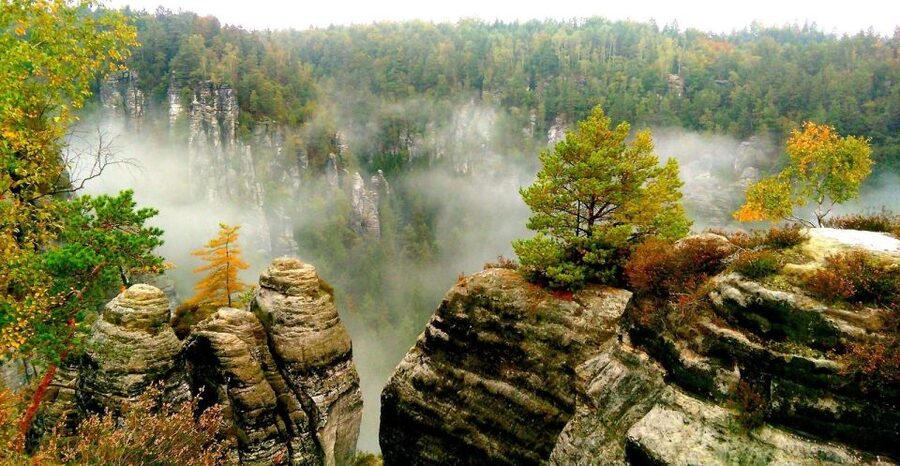 From Dresden: Bohemian & Saxon Switzerland Day Trip - Hiking reality check: moderate walking, uneven ground, and one real incline