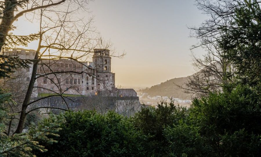 From Frankfurt: Heidelberg and Rothenburg Guided Day Trip - The Guide Factor: Why Michael’s Style Makes This Worth Paying For