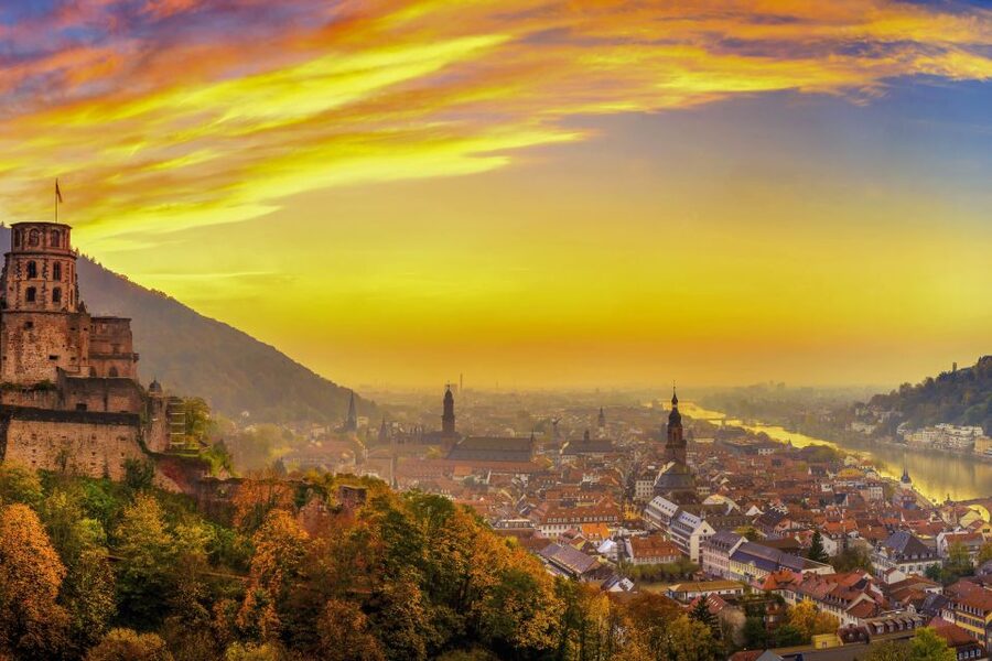 From Frankfurt: Heidelberg, Castle and Old City Guided Tour - The cellar vault stop: the world famous wine barrel experience