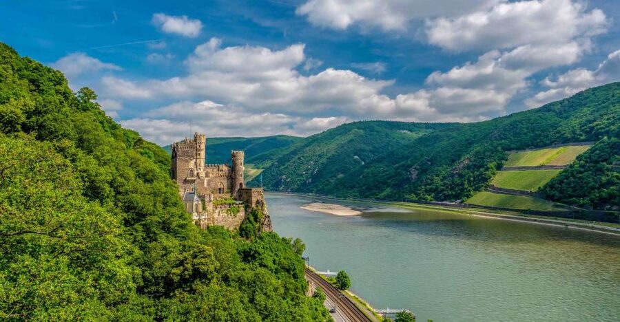 From Frankfurt: Rhine Valley Day Trip - Assmannshausen lunch: the highlight for more than just food