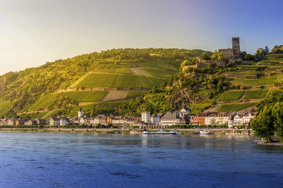 From Frankfurt: Rhine Valley Day Trip - Price and value: what you really pay for